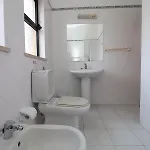 Estela 빌라 알부페이라